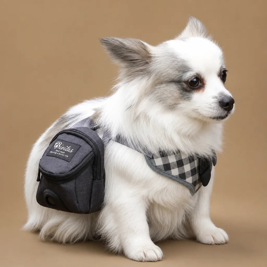 Sac pour friandises chien 2 en 1 - Distributeur sacs inclus