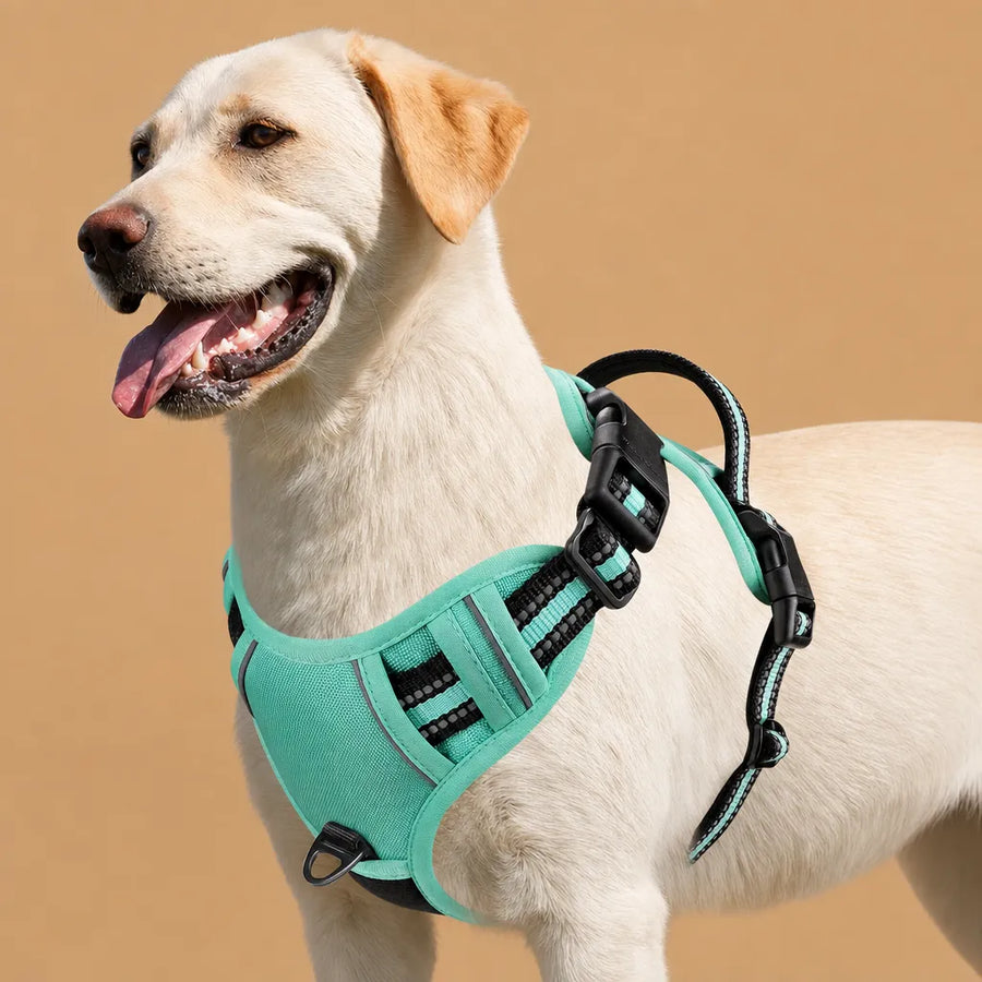 Harnais Chien Réfléchissant Rembourré - Double Attache