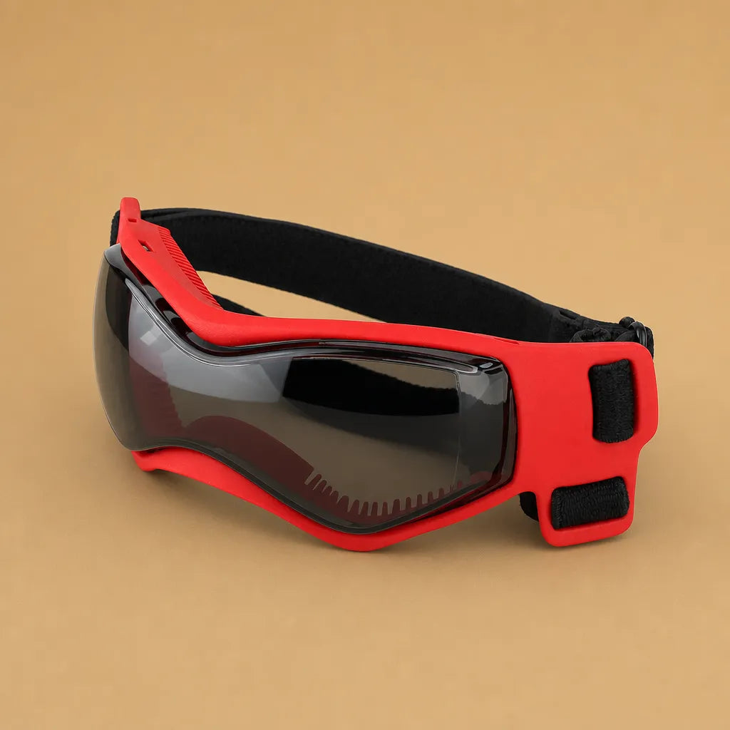 Lunette chien moto - Protection UV, vent et poussière
