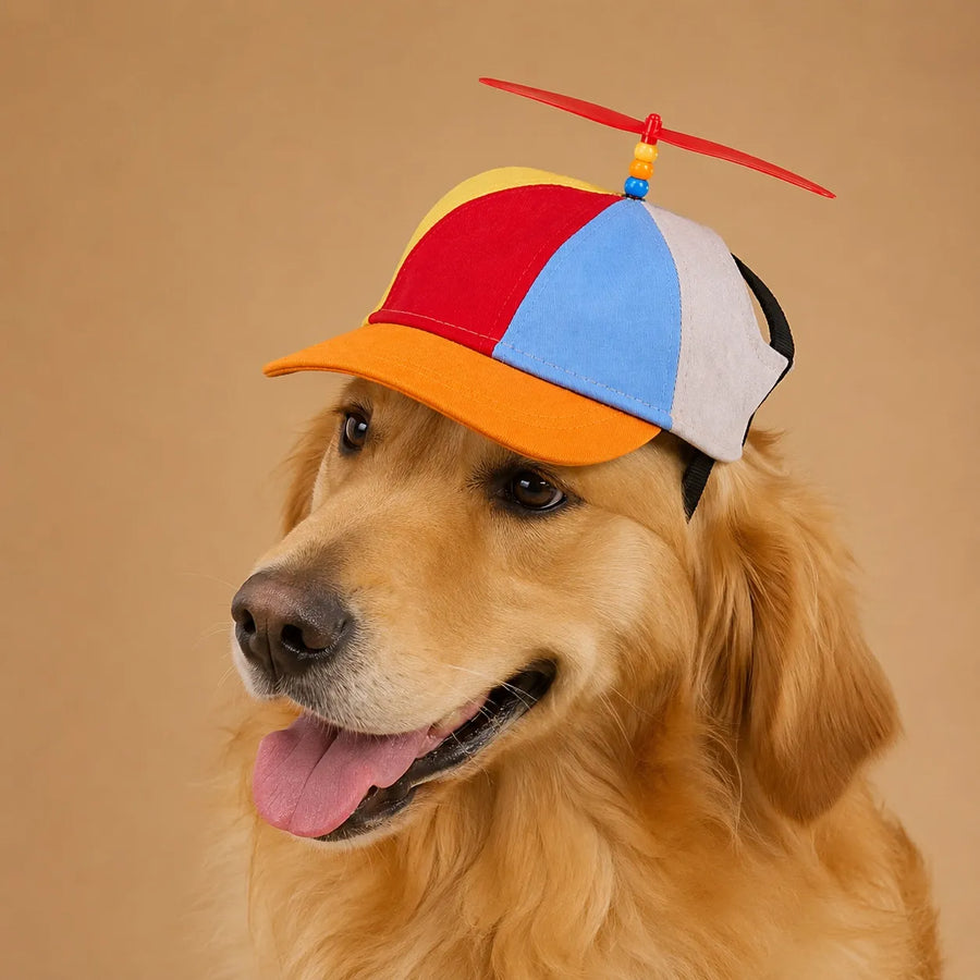 Casquette helice chien - Hélice rotative & Design arc-en-ciel