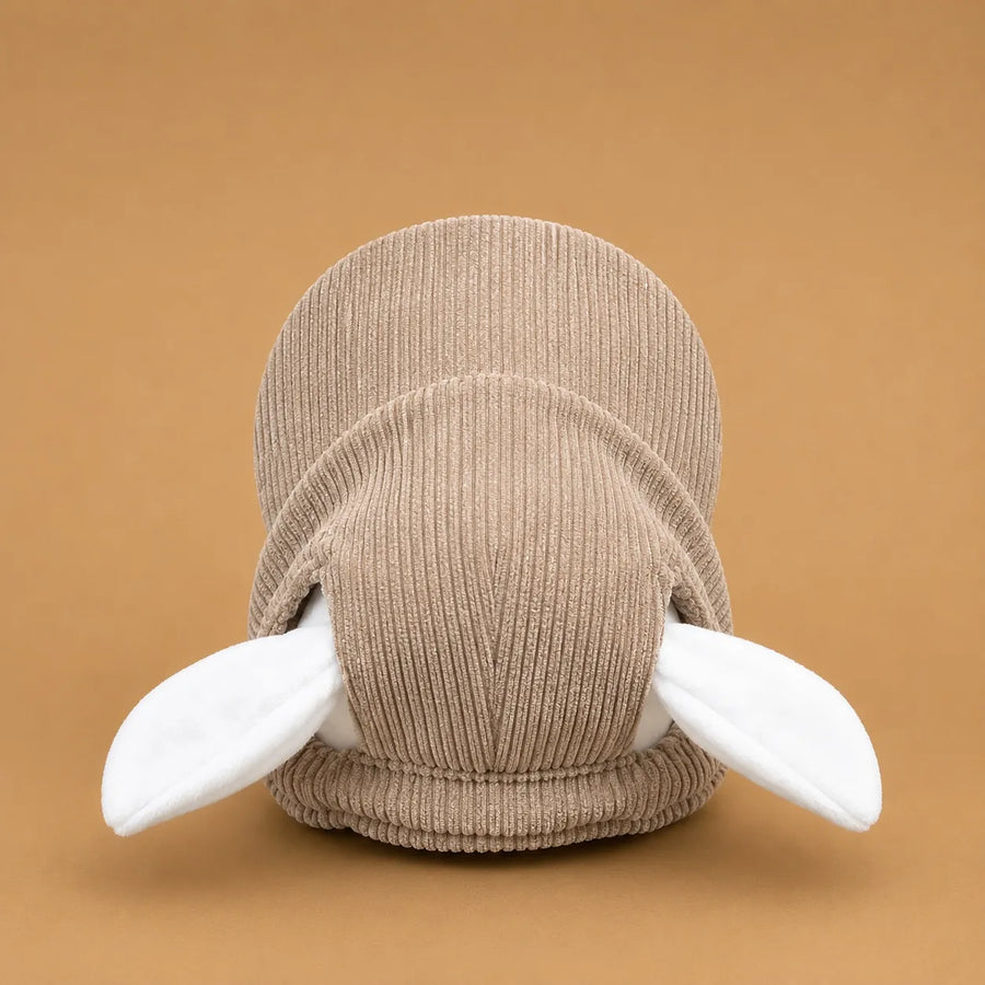 Casquette pour petit chien - Velours côtelé & Trous oreilles