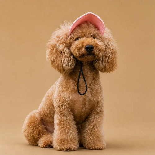 barkerry Casquette chien baseball - Visière UV & Trous pour oreilles