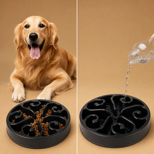 barkerry Gamelle alimentation lente chien - Bol anti-glouton ABS