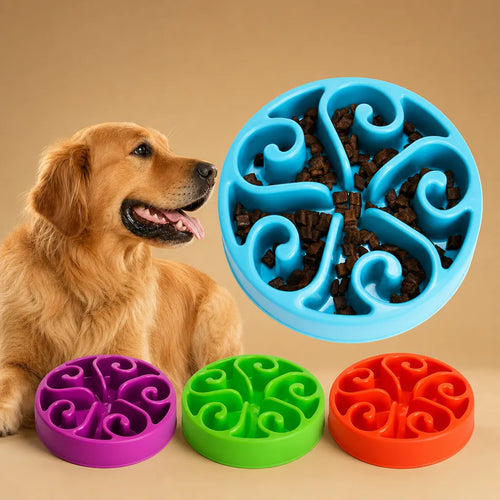 barkerry Gamelle alimentation lente chien - Bol anti-glouton ABS