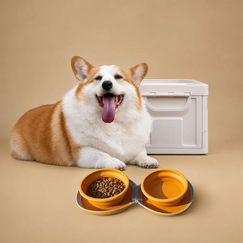 barkerry Gamelle voyage pliable silicone chien - Double bol portable