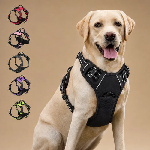 barkerry Harnais Chien Anti Traction Clip Frontal - Réfléchissant
