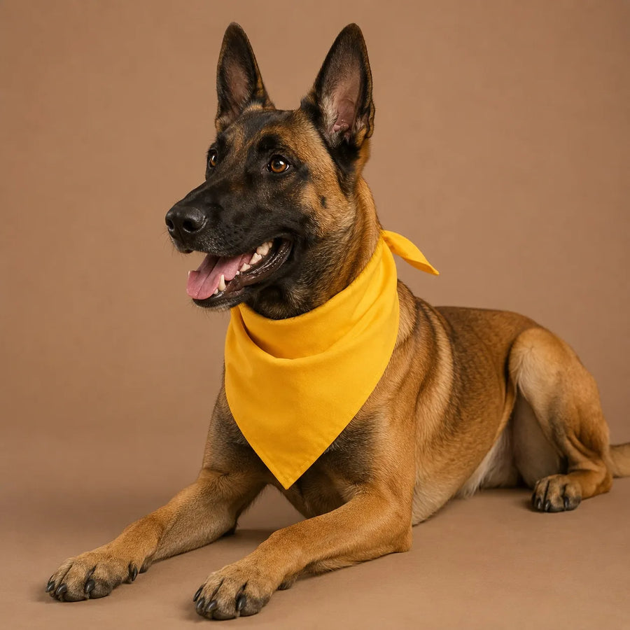 Bandana pour chien en coton - 10 coloris / S et L